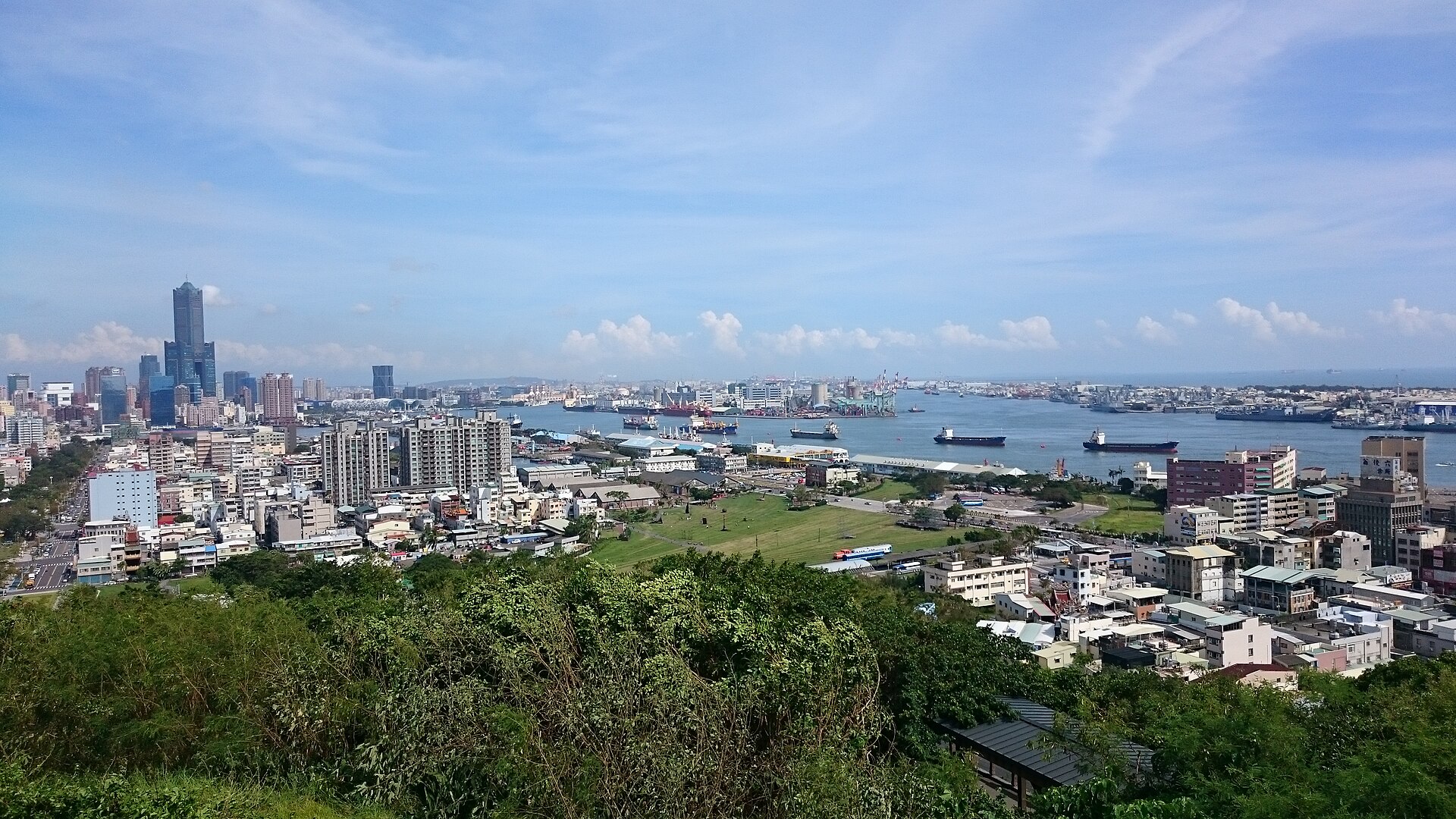 由壽山眺望高雄港與市區天際線。